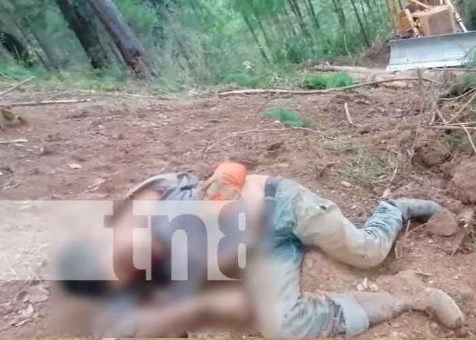 Hombre pierde la vida al ser aplastado por una pala mecánica
