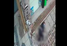 Argentina: Abuelita baleada por ladrón en plena calle Argentina: Abuelita baleada por ladrón en plena calle