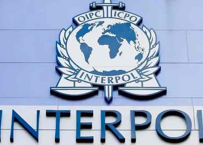 Decomisan 12 millones de productos farmacéuticos ilícitos en África