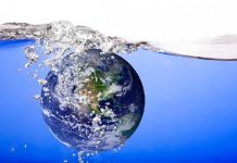 ¿Por qué se celebra el Día Mundial del Agua? ¿Por qué se celebra el Día Mundial del Agua?