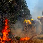 Declaran alerta amarilla ante incendios en comuna Melipueco, Chile