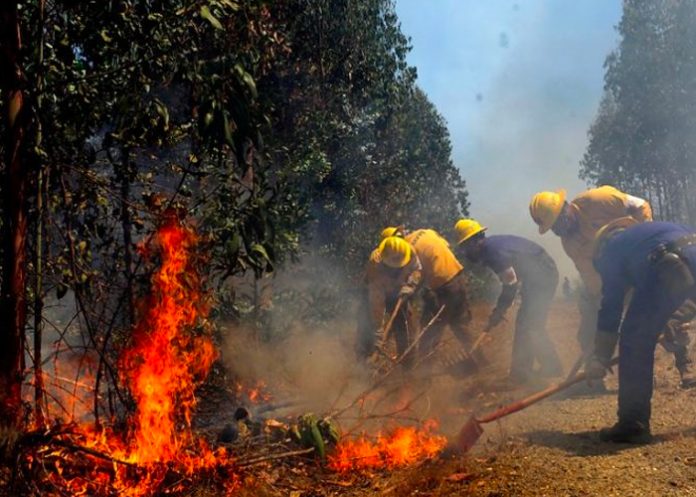 alerta-chile- Declaran alerta amarilla ante incendios en comuna Melipueco, Chile