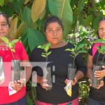 Fortalecimiento de la seguridad alimentaria en Ocotal