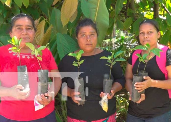 Fortalecimiento de la seguridad alimentaria en Ocotal