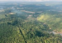 ¡Milagro! Niños sobrevivieron 4 semanas perdidos en el Amazonas ¡Milagro! Niños sobrevivieron 4 semanas perdidos en el Amazonas