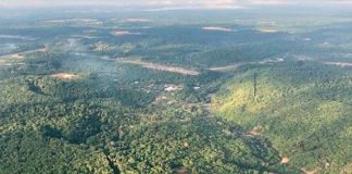 ¡Milagro! Niños sobrevivieron 4 semanas perdidos en el Amazonas