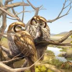 Descubren en China el fósil de un búho diurno extinto