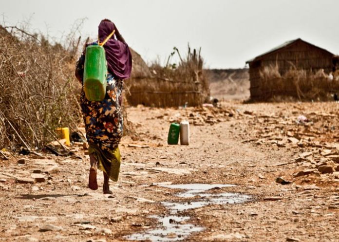Estudio: Cambio climático afecta más a las mujeres