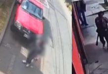 ‼️IMÁGENES FUERTES‼️ Captan a hombre comiéndose un gato en México ‼️IMÁGENES FUERTES‼️ Captan a hombre comiéndose un gato en México