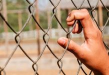 Detención de inmigrantes indocumentados creció en febrero un 6% Detención de inmigrantes indocumentados creció en febrero un 6%