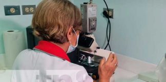 Rehabilitación de la sala de Entomología del Centro Nacional de Diagnóstico y Referencia en Nicaragua