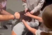¡Horrenda paliza! A patadas y puñetazos agreden a una menor en España ¡Horrenda paliza! A patadas y puñetazos agreden a una menor en España