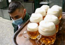 Una cerveza al día basta para dañar al cerebro, afirma estudio Una cerveza al día basta para dañar al cerebro, afirma estudio