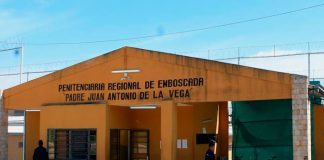 Femicida en serie: Mata a su novia, segunda víctima luego de su esposa