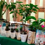 Feria de abonos y fertilizantes que promueve el INTA Nicaragua