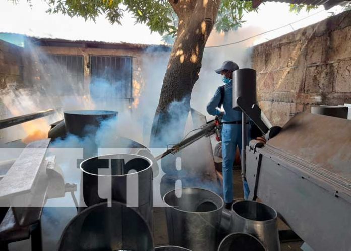Fumigación y abatización en Managua
