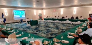 Presentación del proyecto de ganadería sostenible en Nicaragua