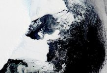 Colapsa plataforma de hielo en la Antártida Oriental