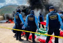 Honduras incinera 8 toneladas de cocaína incautadas a cárteles