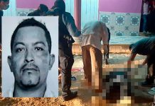 Por un chancho: Sangriento crimen con cuota de venganza en Honduras
