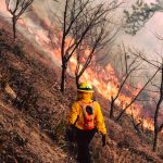 Incendio forestal deja cuatro fallecidos en Totonicapán, Guatemala Incendio forestal deja cuatro fallecidos en Totonicapán, Guatemala