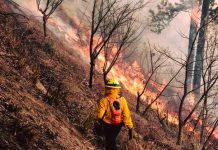 Incendio forestal deja cuatro fallecidos en Totonicapán, Guatemala