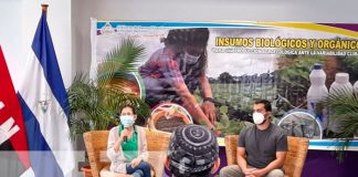INTA presenta material de 14 insumos para producción de hortalizas