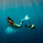 ¿Será verdad? Hallan a sirena momificada en Japón que otorga inmortalidad ¿Será verdad? Hallan a sirena momificada en Japón que otorga inmortalidad