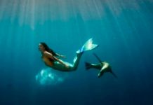 ¿Será verdad? Hallan a sirena momificada en Japón que otorga inmortalidad ¿Será verdad? Hallan a sirena momificada en Japón que otorga inmortalidad