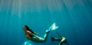 ¿Será verdad? Hallan a sirena momificada en Japón que otorga inmortalidad