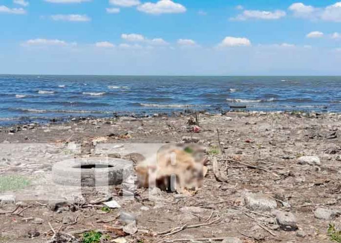 l3 En circunstancias extrañas perece hombre a orillas del Lago de Managua