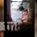 Furia iracunda: «Tropikong» por poco mata a su madre y tía en León Sujeto que cometió agresión contra su madre y tía en León