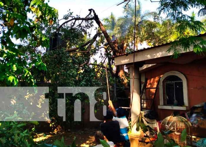 managua-electrica-1 Accidente en una comunidad de Managua provocó una potente descarga eléctrica