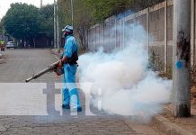 Familias del barrio Hilario Sánchez, Managua, mejor protegidas contra zancudos Jornada de fumigación en barrios de Managua