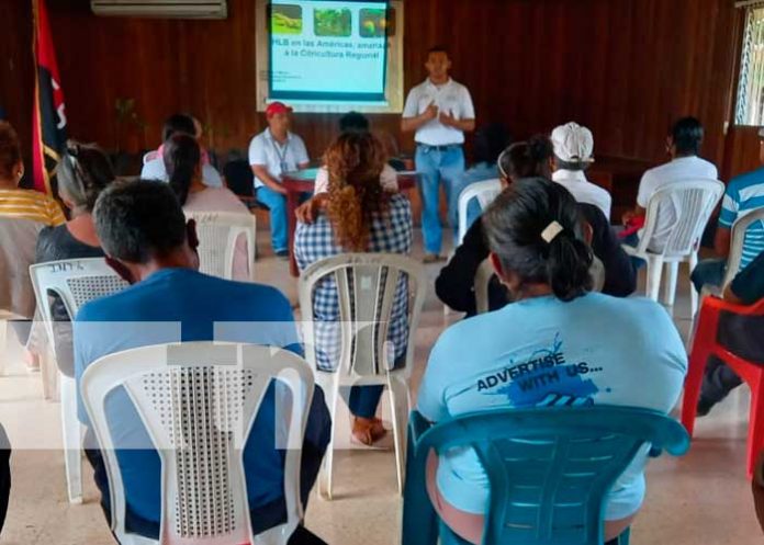 masaya-produccion-2 Reunión con productores en Masaya con el INTA e IPSA
