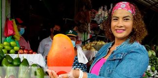 Recorrido por el Mercado Mayoreo