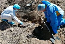 En México encuentran fosas clandestinas cerca de la frontera de EE.UU. En México encuentran fosas clandestinas cerca de la frontera de EE.UU.