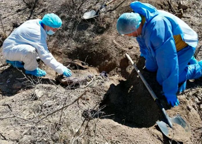 En México encuentran fosas clandestinas cerca de la frontera de EE.UU.