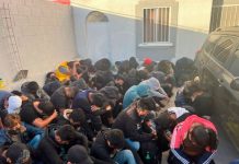 Rescatan a 53 migrantes abandonados por "coyotes" en México