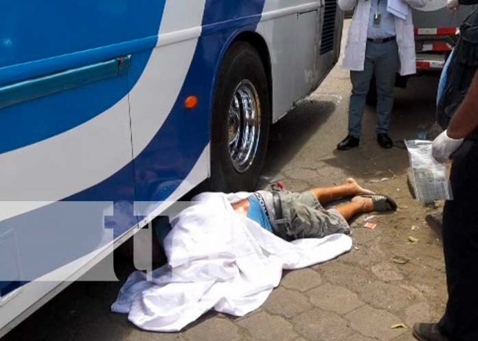 muerto-bus-11 Trágica muerte de un anciano en sector del Mayoreo, Managua