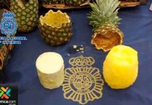 Hasta en las frutas: Decomisan cargamento con cocaína que iba hacia Europa Hasta en las frutas: Decomisan cargamento con cocaína que iba hacia Europa