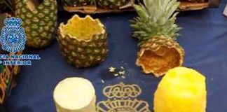 Hasta en las frutas: Decomisan cargamento con cocaína que iba hacia Europa