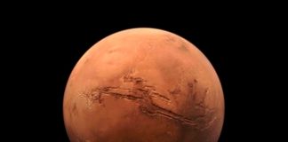 La "flor" de Marte: ¿Qué significa y qué avance significa para la ciencia?