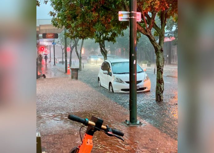Cuatro muertos y dos desaparecidos en Nueva Zelanda tras fuertes lluvias