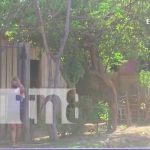23 de marzo: Informate de las noticias más relevantes de Nicaragua Sitio en Nagarote donde se encontró una osamenta en una vivienda