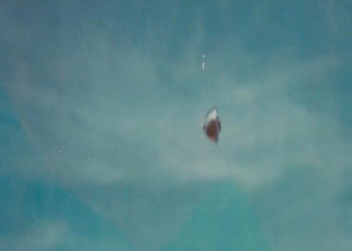 ovni- Captan el vuelo de un nuevo OVNI en Australia (video)