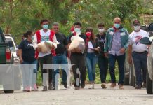 Distribuyen paquetes de alimentos en barrios de Managua Entrega de paquetes de alimentos en el Distrito V de Managua