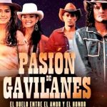 Pasión de Gavilanes se encuentra entre lo más visto de Netflix