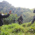 Desmantelan 345.000 plantas de coca y cuatro laboratorios en Honduras Desmantelan 345.000 plantas de coca y cuatro laboratorios en Honduras