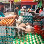 Queso y huevo más barato en el Mercado Iván Montenegro Cotización del queso y huevo en el Mercado Iván Montenegro